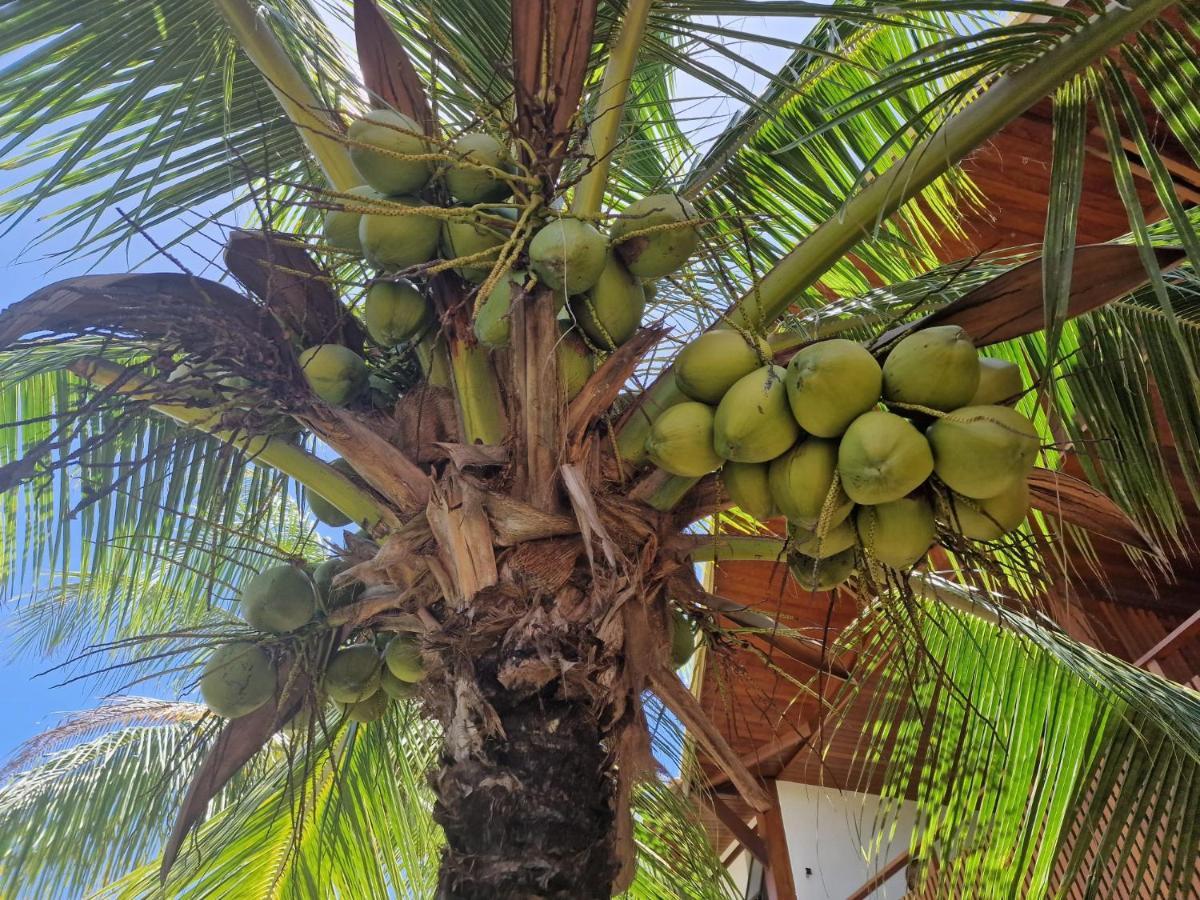 Praia De Itacimirim, Pe Na Areia المظهر الخارجي الصورة